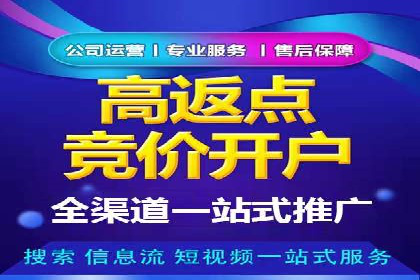 百度竞价广告运营的技巧与误区：成功案例解析